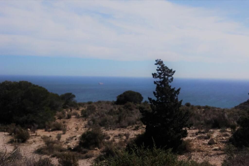 Modern Flat At Garbinet With Wifi Διαμέρισμα Αλικάντε Εξωτερικό φωτογραφία